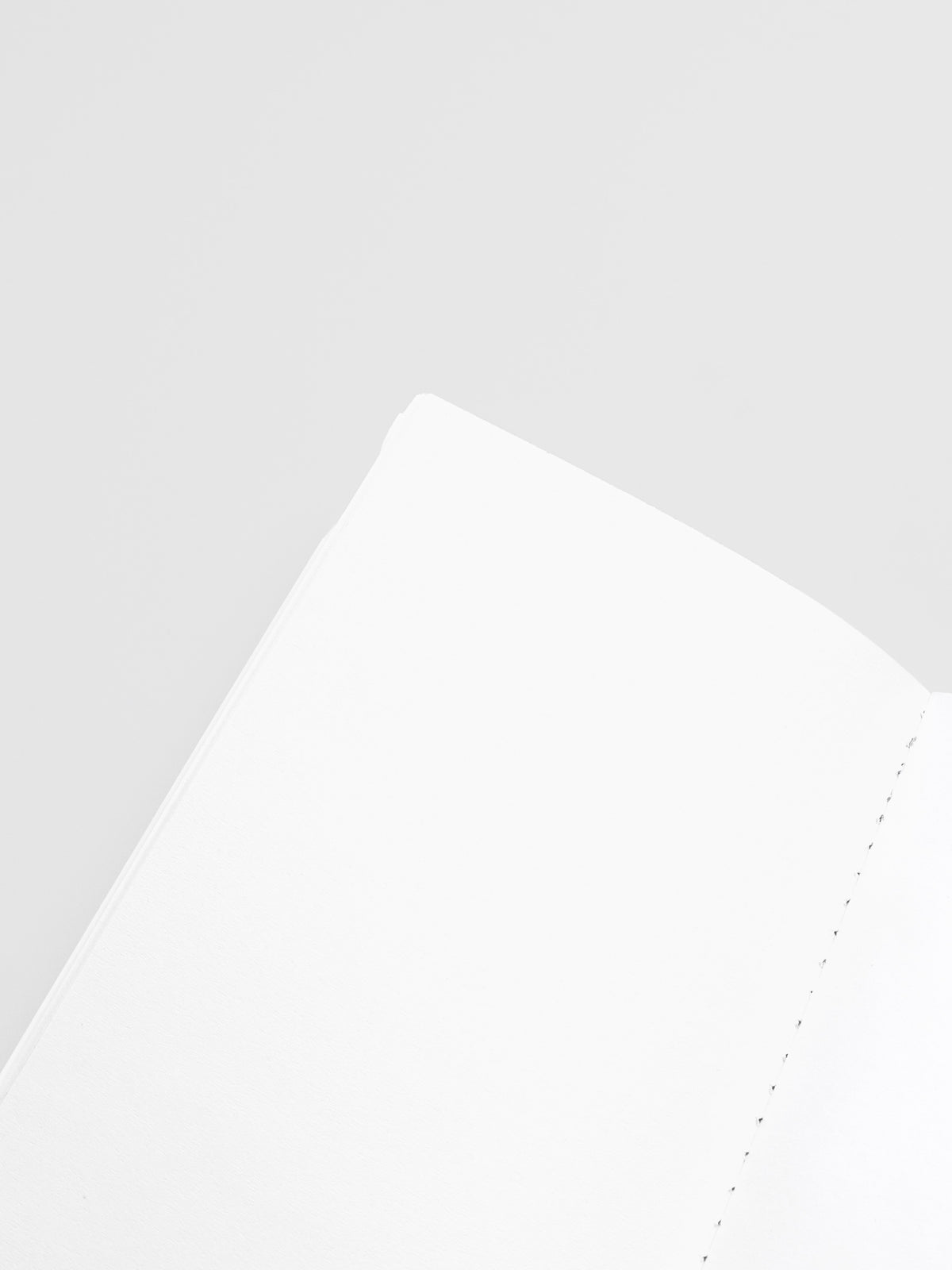 Close up of the interior of Travel Notebook in size Pocket Plus in color Angora with Blank pages.