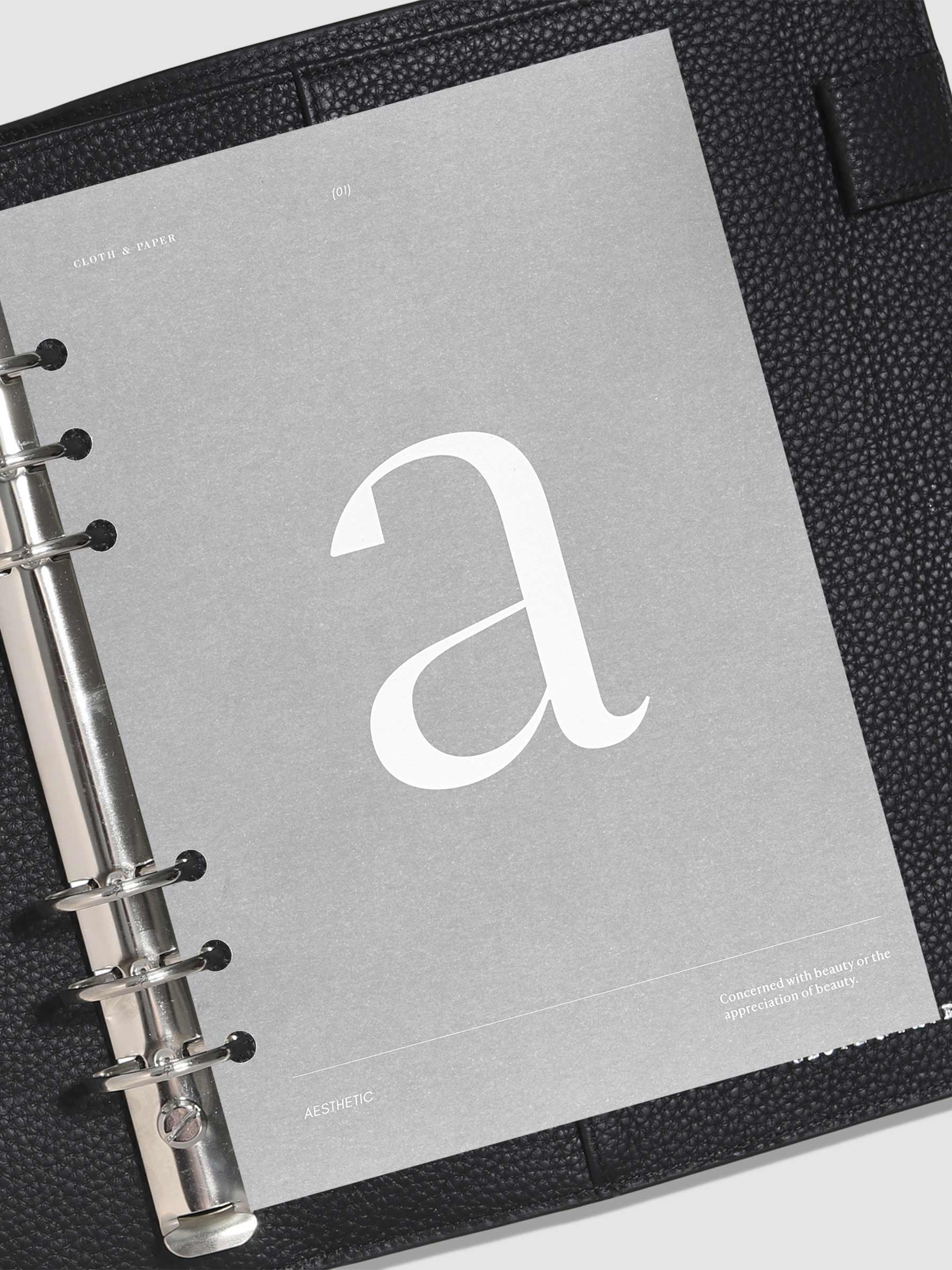 Monogram Vellum Planner Dashboard A in use in a leather planner.