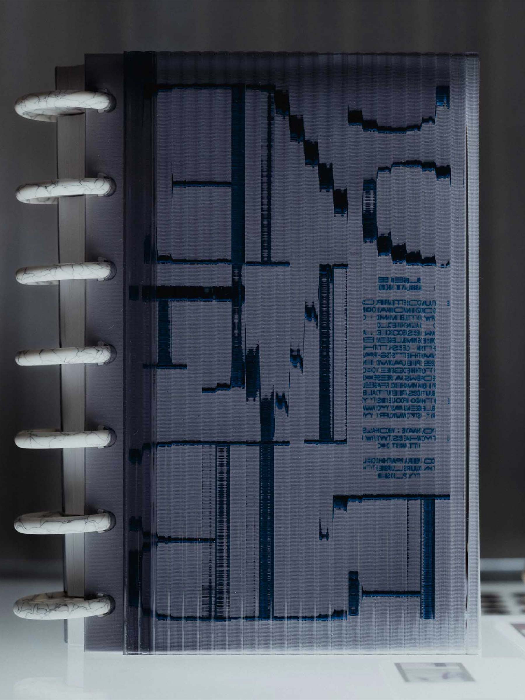 Planner discs shown in use inside a discbound planner setup.