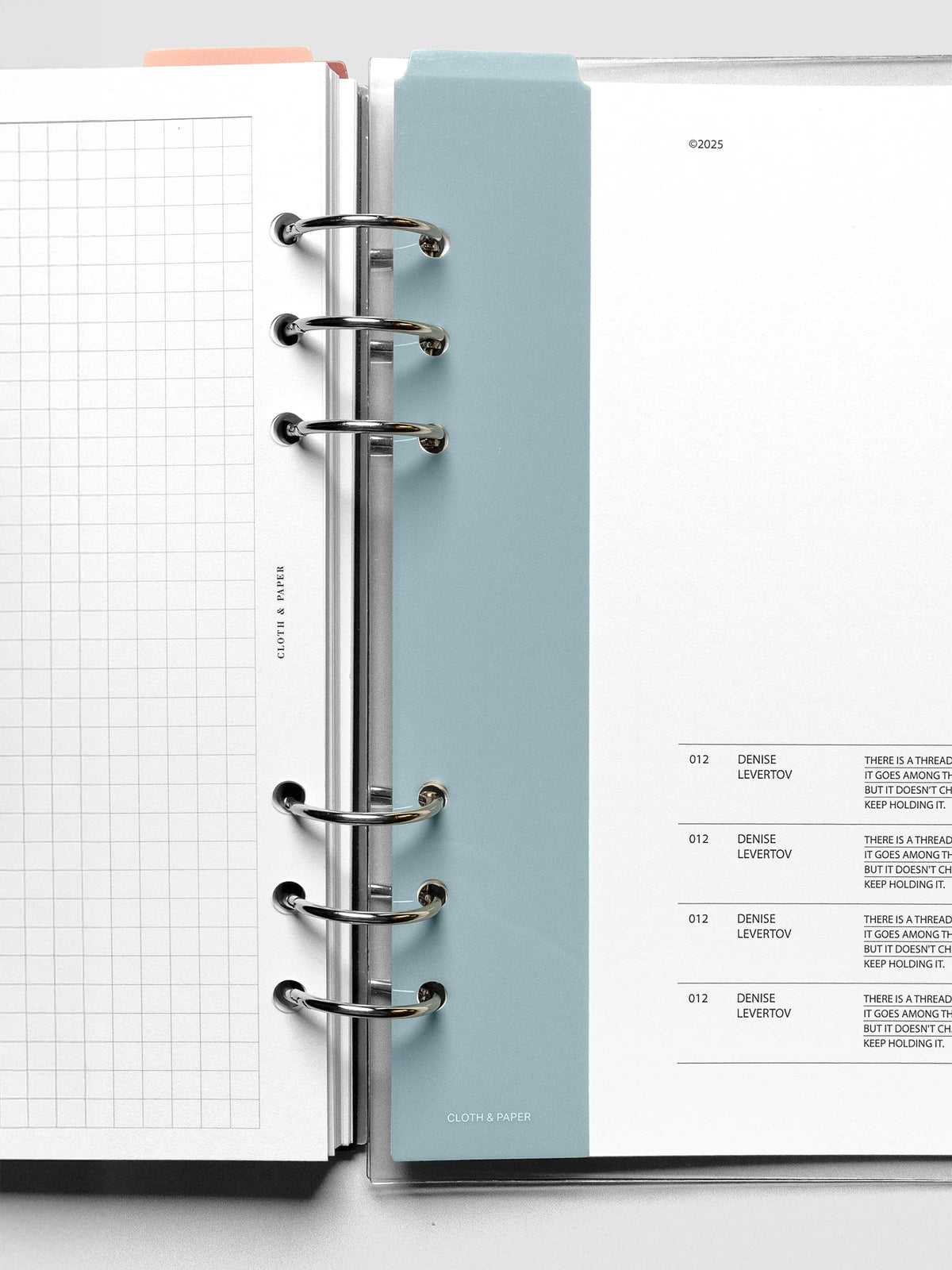 Light blue narrow page marker in a ringbound planner.