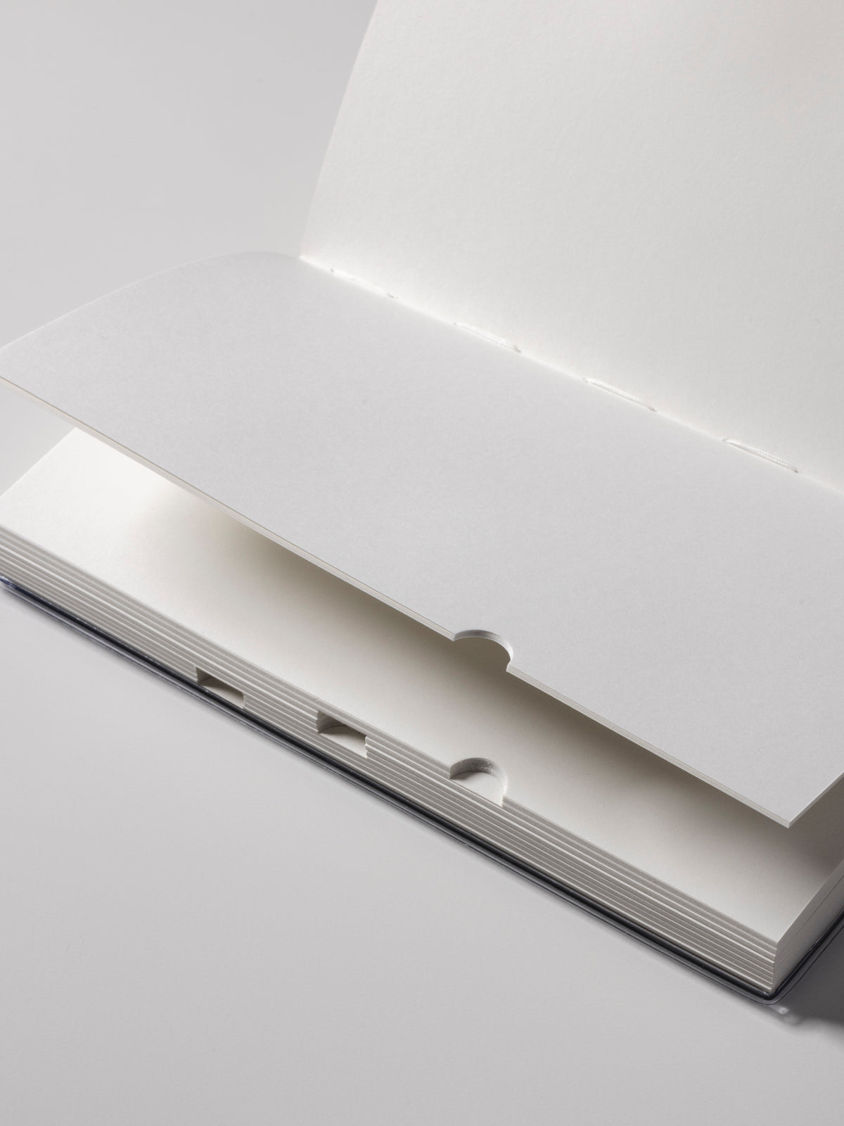 Personal Record Notebook Set, A5 Slim, open notebook detail showing cut-out edge tabs along the side for navigating between sections
