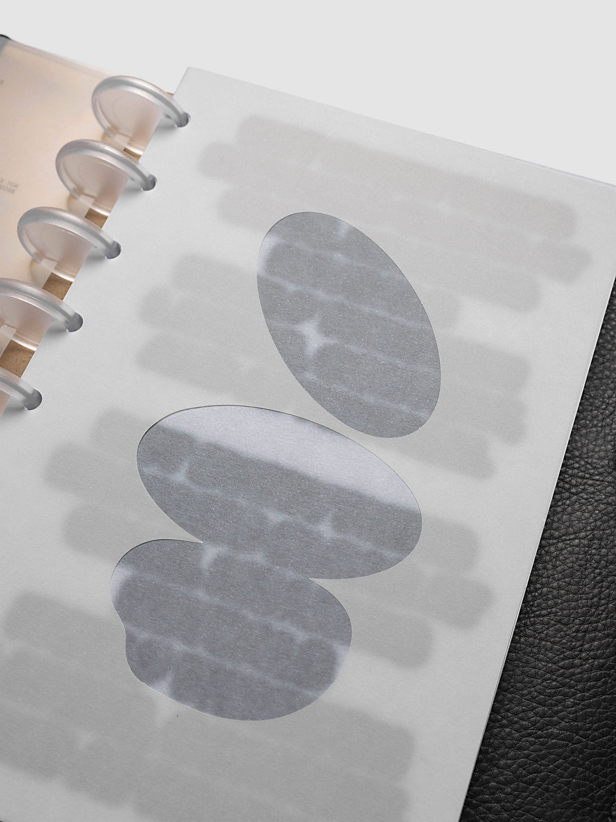 Nuanced Dashboard Trio, Half Letter 8-Disc Punch, angled close-up of three grey ovals with the frosted discs and black leather cover at the frame edges