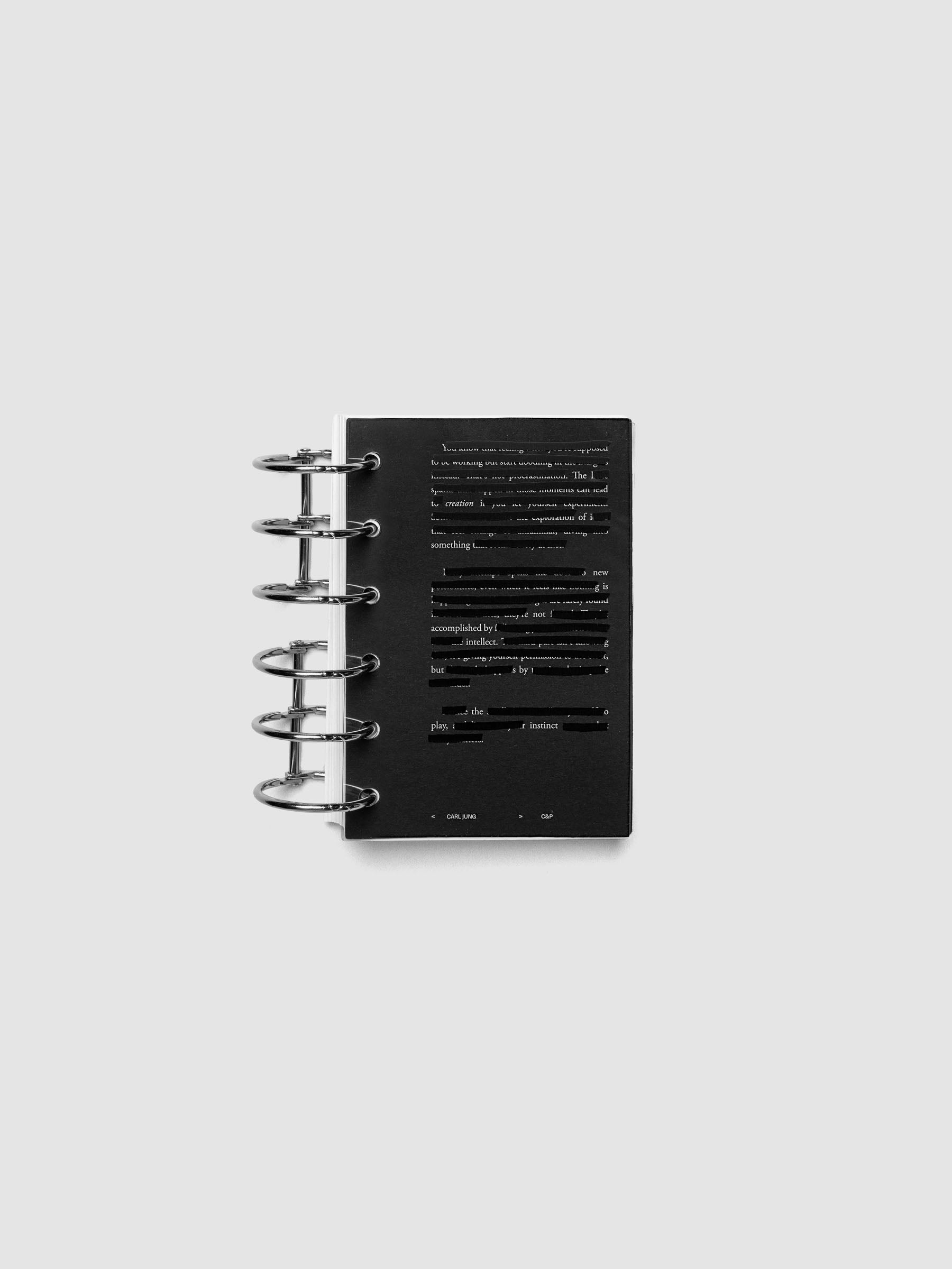 Black, white, and transparent dual layer planner dashboard shown in size Pocket 6-Ring Punch inside a planner