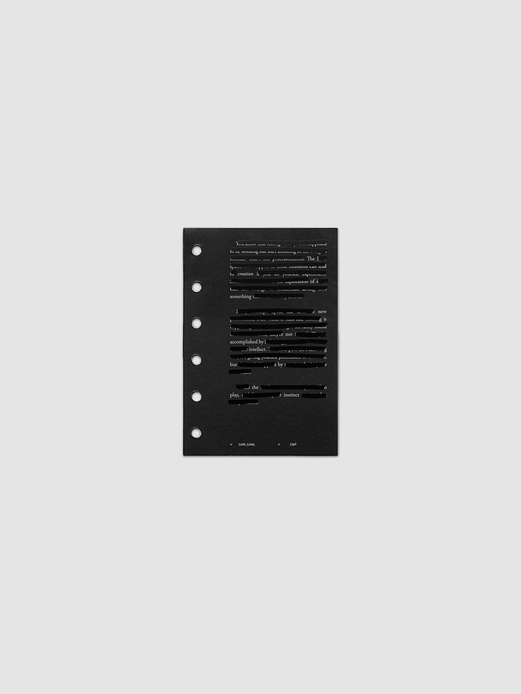 Black, white, and transparent dual layer planner dashboard shown in size Pocket 6-Ring Punch
