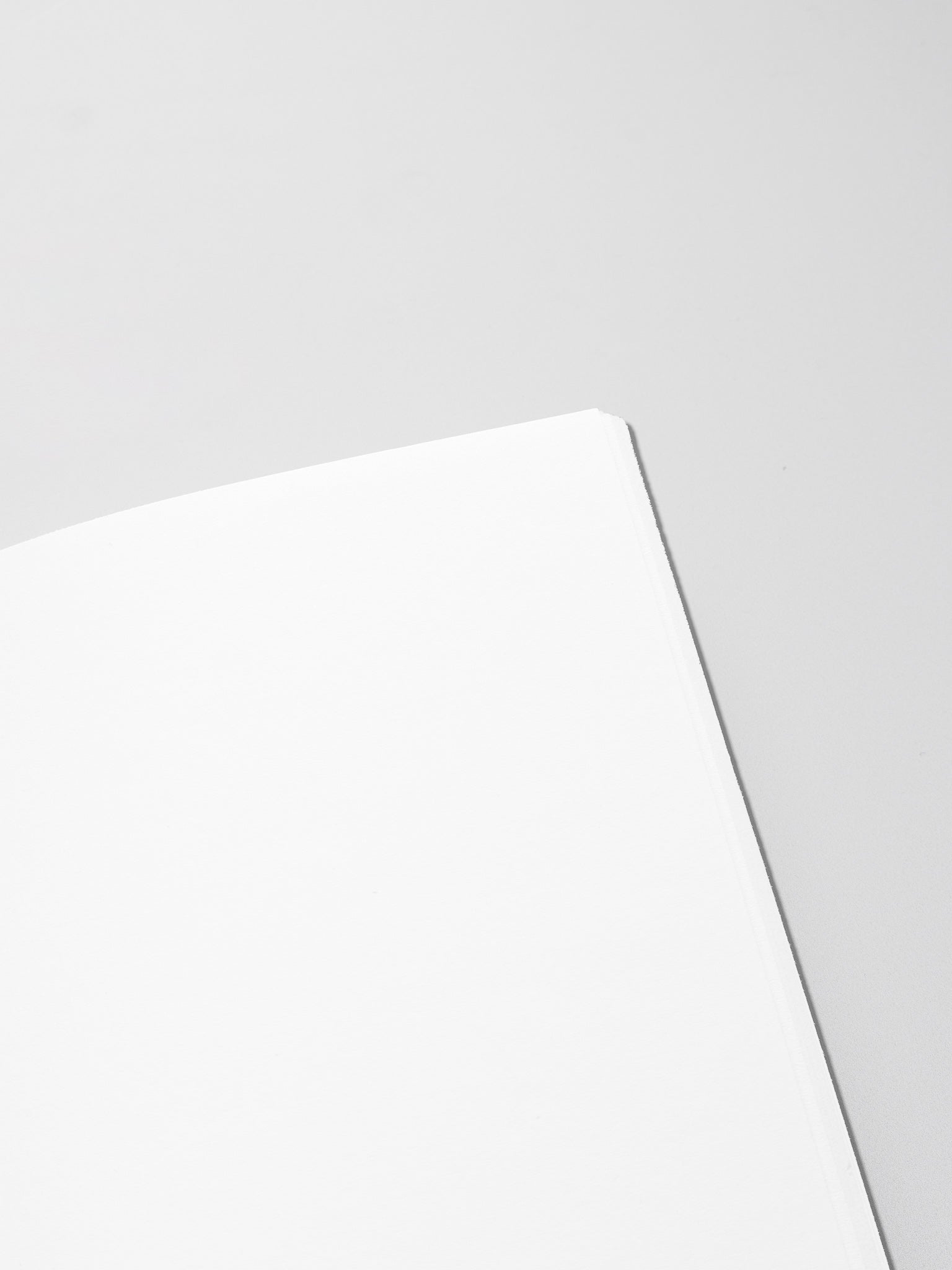Close up of the interior of Travel Notebook in size A5 Slim in color Angora with Blank pages.