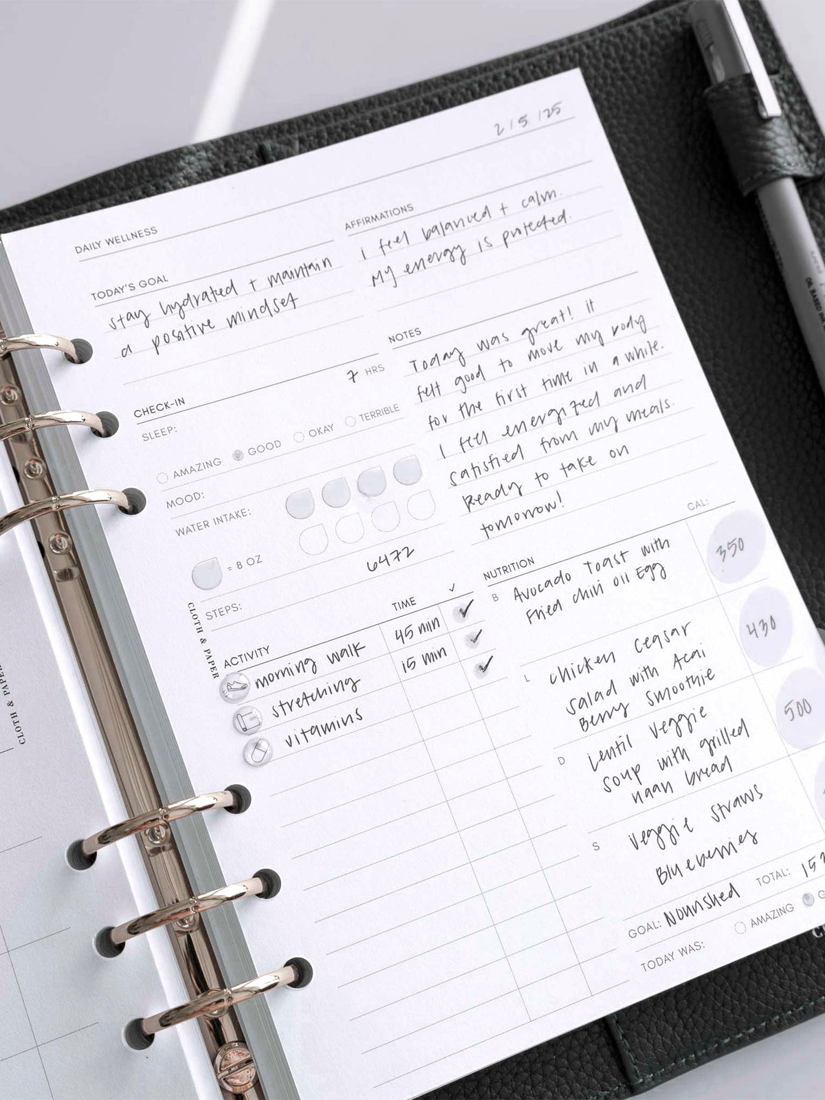 Insert in use inside a brown leather planner. The daily wellness sheet is filled out detailing the day's goals, affirmations, notes, activities, and nutrition. Planner stickers are also placed on the insert to highlight different notes and fields.