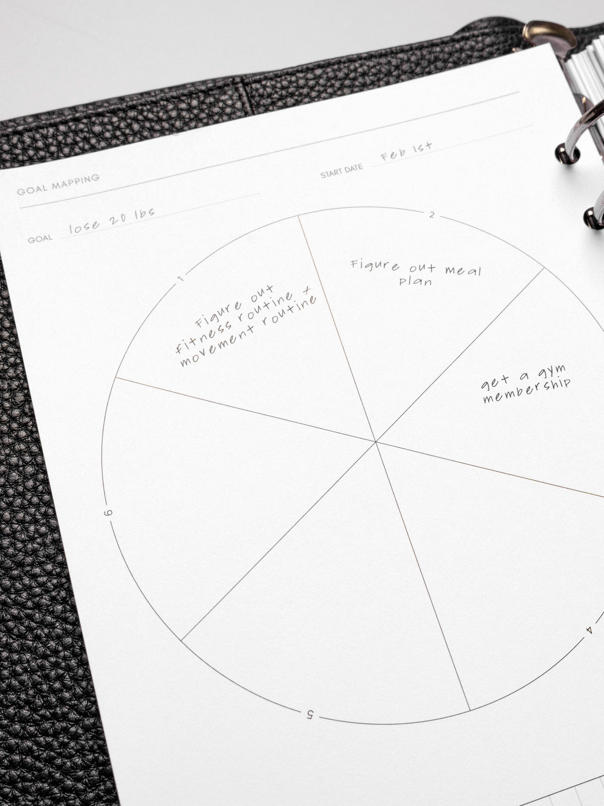 Close up of Goal Mapping inserts inside discbound planner and leather cover. 