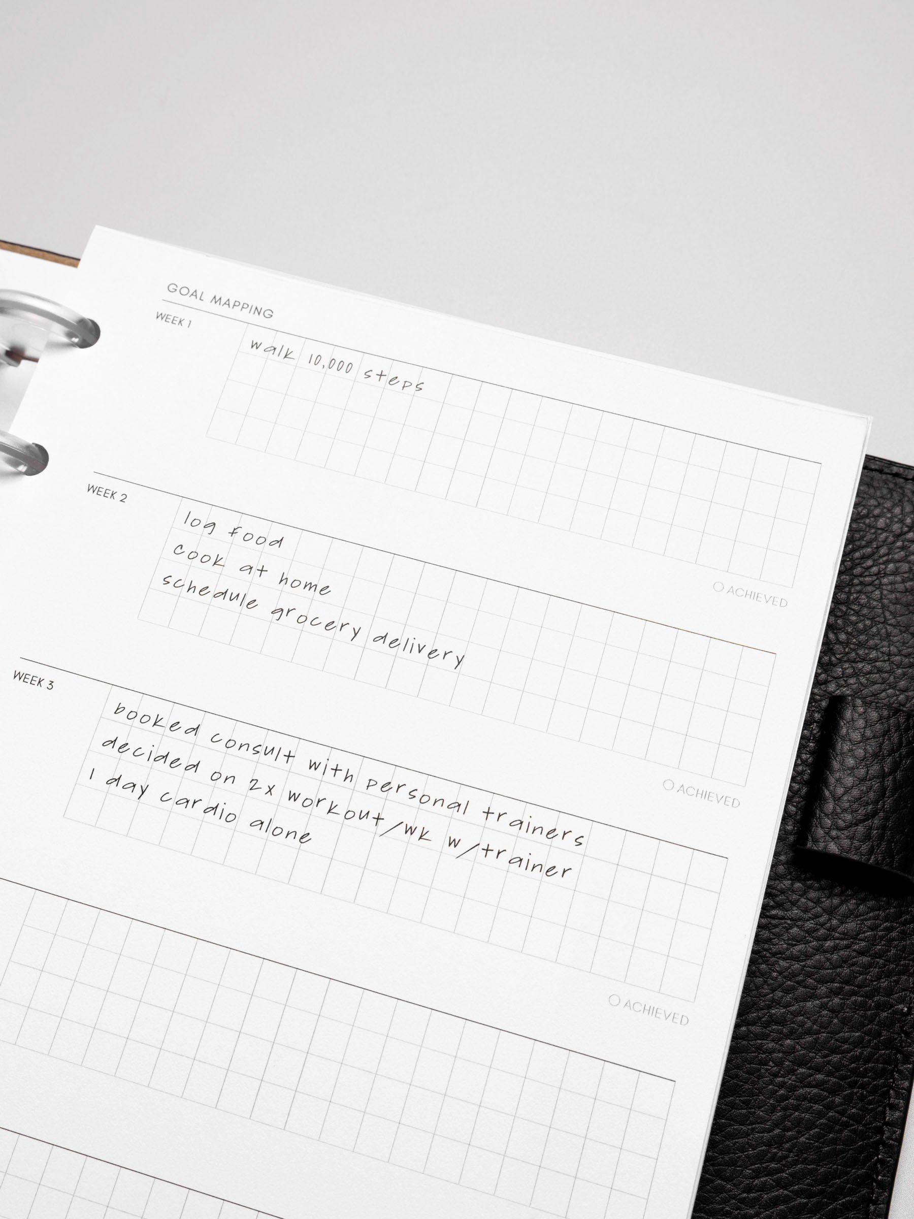 Close up of Goal Mapping inserts inside discbound planner and leather cover. 