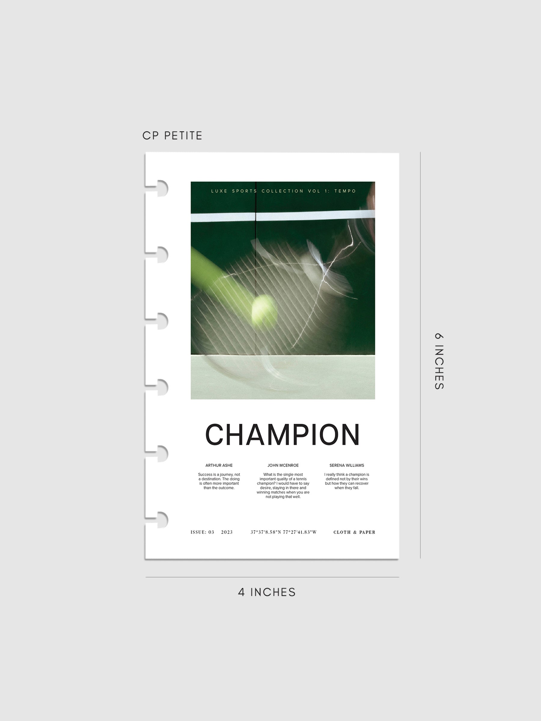 Digital mockup of Champion dashboard in CP Petite. 