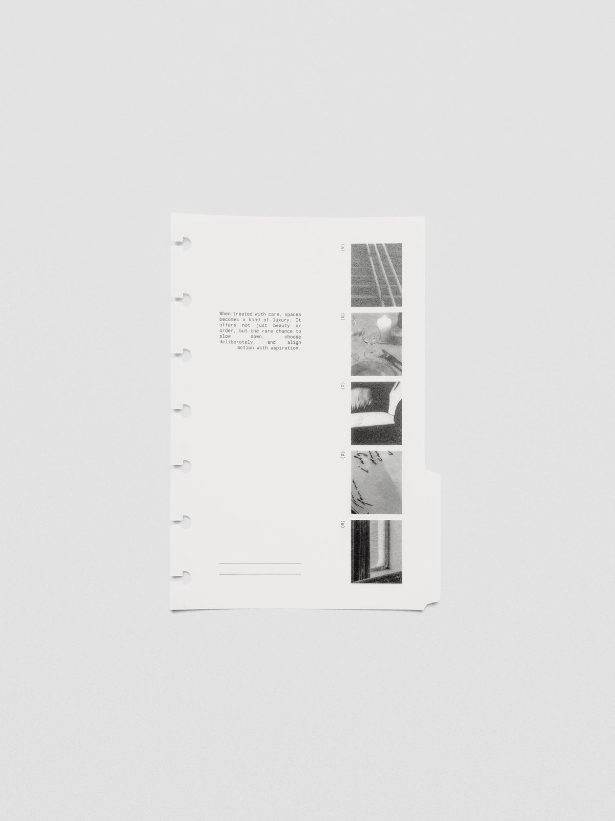 Set of multiple Editorial Vellum Dividers fanned out to display different text layouts and designs.